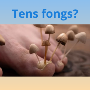 Fongs als peus Sant Pol de mar